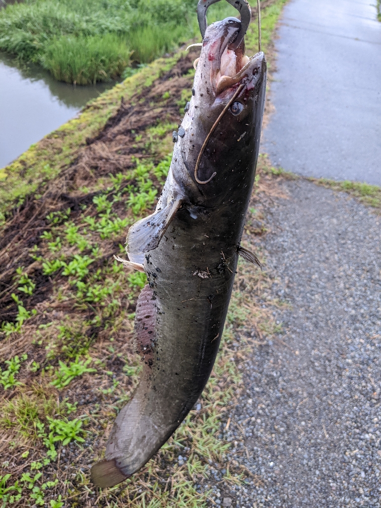 小雨パワー炸裂？？