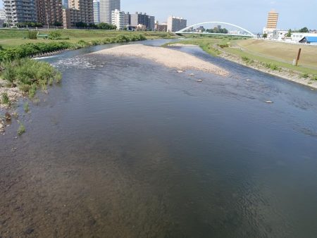 札幌市に流れている豊平川でヤマメが釣れる！！