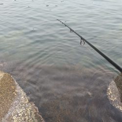 釣り日和と釣果の相反