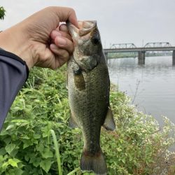 JACKALL FISHING  MEET UP