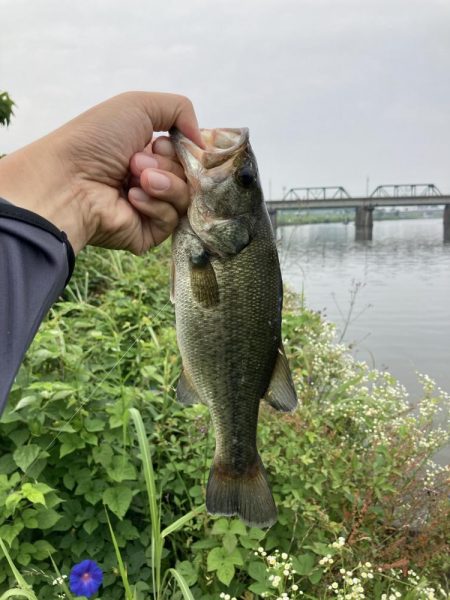 JACKALL FISHING  MEET UP