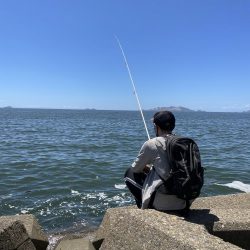 息子とキス釣り