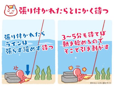 狙いは絞って行く方が釣りやすい！？