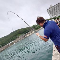 和歌山白浜の堤防で釣り