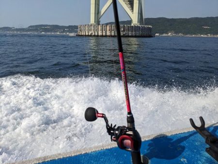 灼熱のタコ釣り