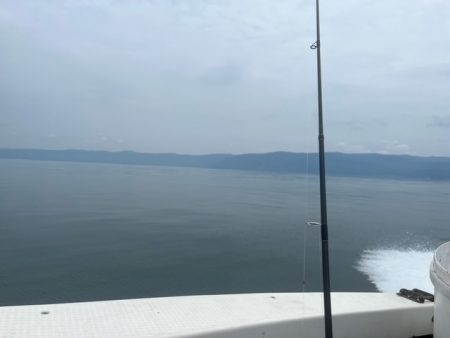 鹿児島錦江湾のテンヤマダイ