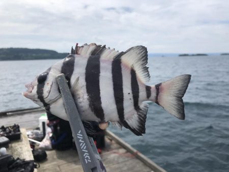 夏の筏釣り