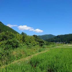 大好きな馬瀬川上流