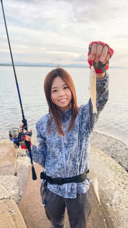 キス釣り🎣