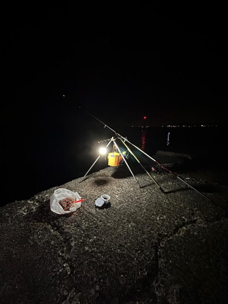 台風後🌀の深日港、夜釣り