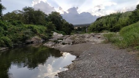 渇水でも暑くても喰いは良好、滋賀県犬上川