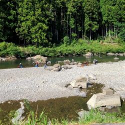 和歌山県有田川で鮎釣りと手長エビ