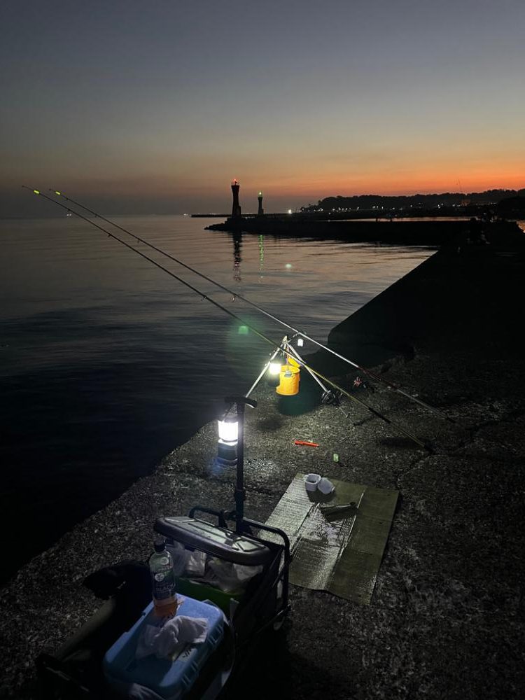 台風後🌀の深日港、夜釣り