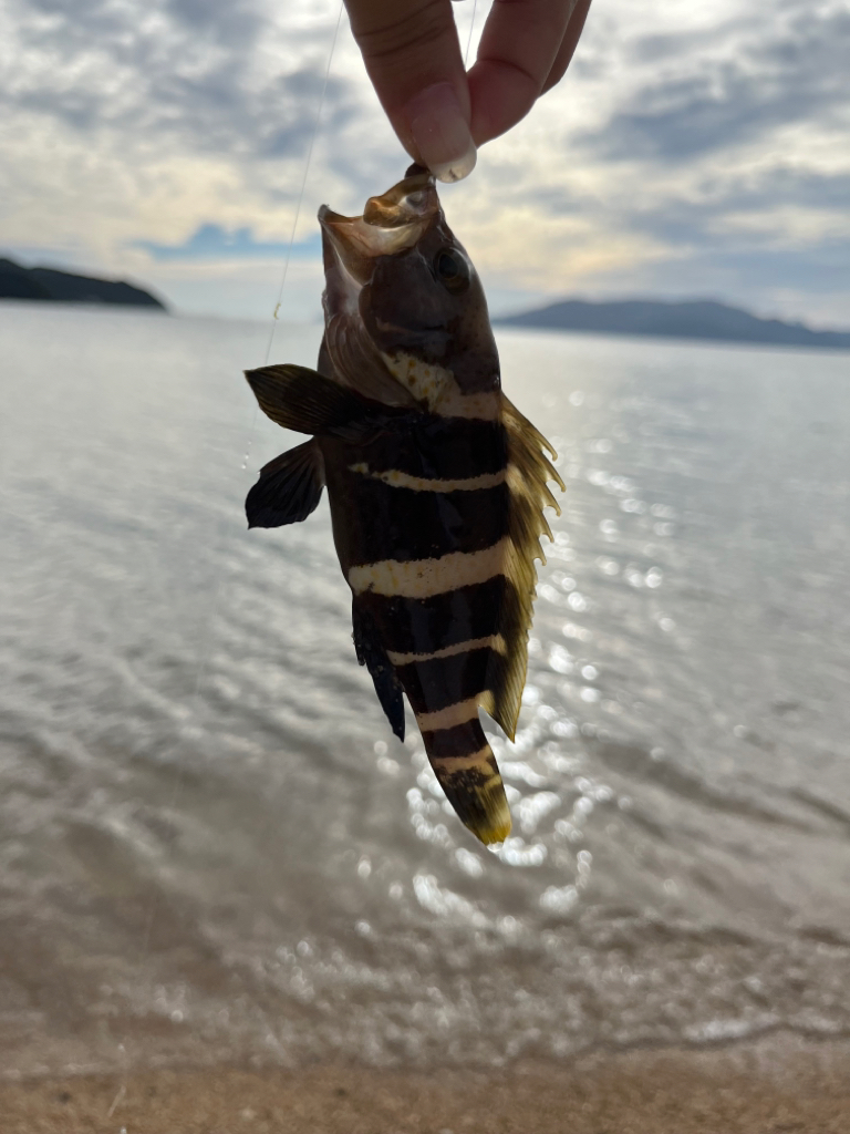 キス釣り