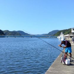 シーズン３度目の津居山釣行