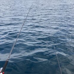 能登島、釣り筏