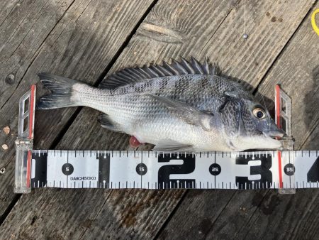 能登島、釣り筏