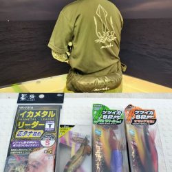 敦賀沖マイカ（剣先イカ）釣り！
