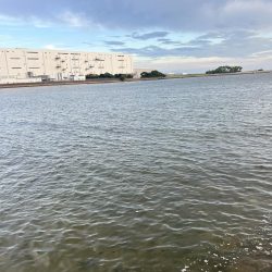 白浜灘緑地