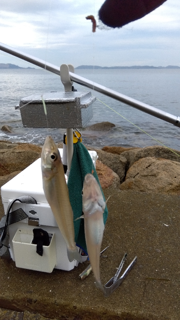 苅屋海岸のキス釣り