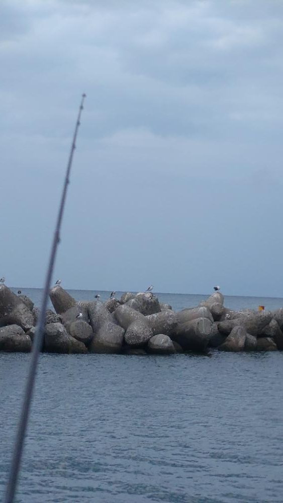 大潮でしたが釣果渋い