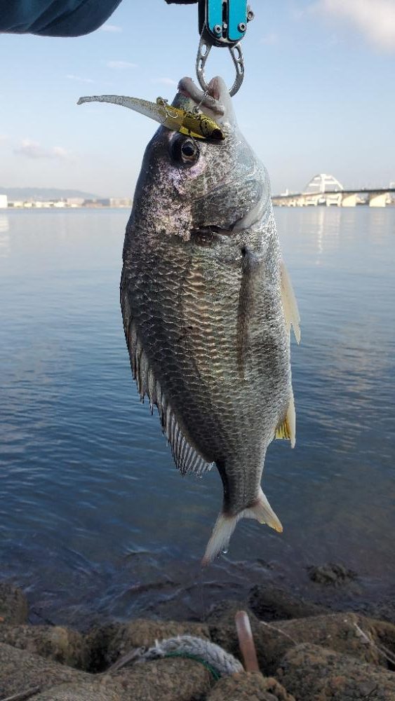 河口でなんとか１枚