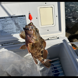 久しぶりの釣り