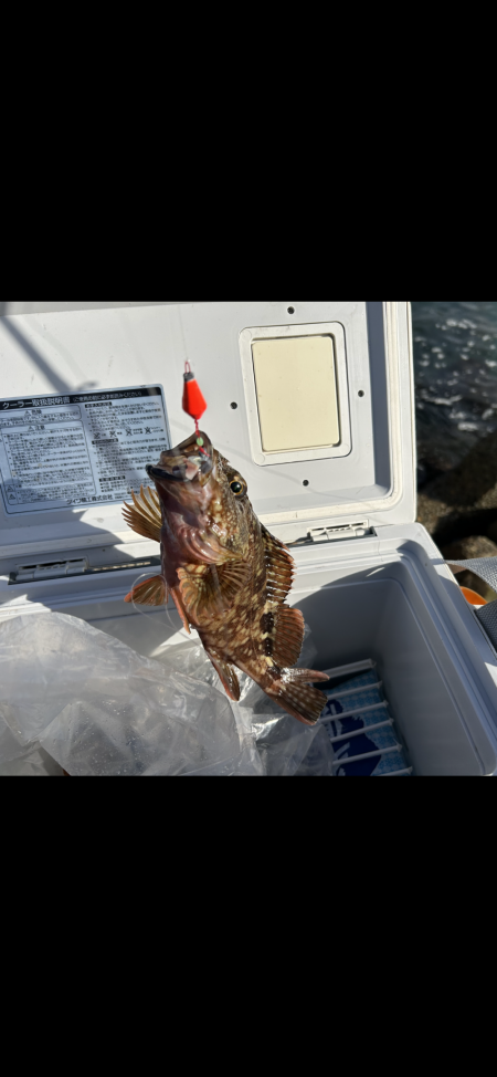 久しぶりの釣り