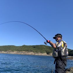 和歌山市江（吉丸渡船）でグレ釣り