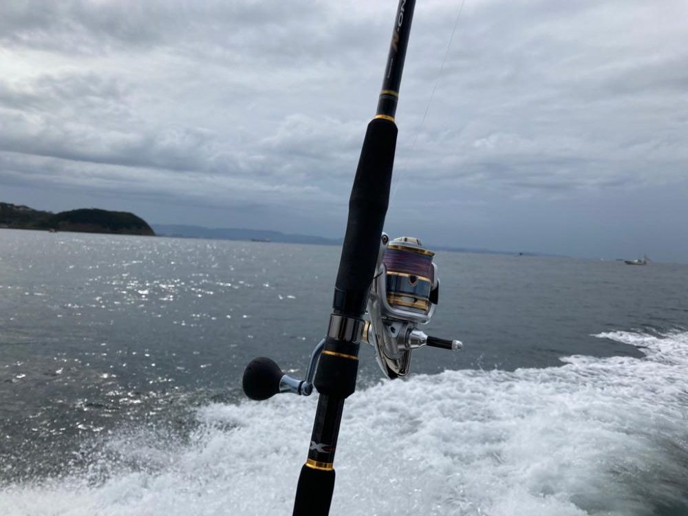 サビキで釣れた