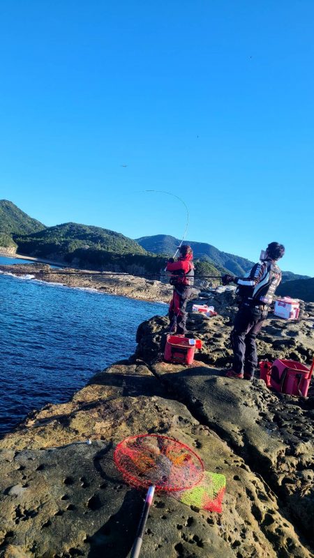 和歌山市江（吉丸渡船）でグレ釣り