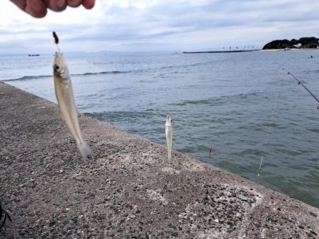 遅めの夏休みでキス釣り