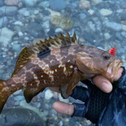 釣り方がダメなのか？