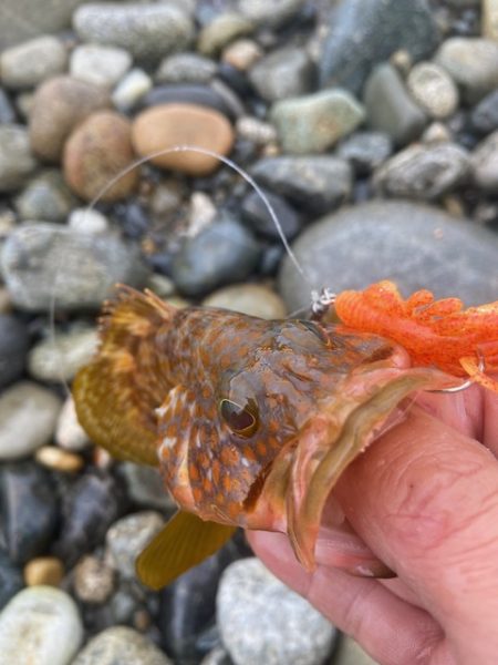 釣り方がダメなのか？