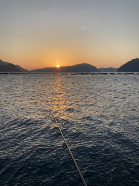 内浦湾の恵み