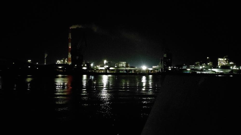夜釣