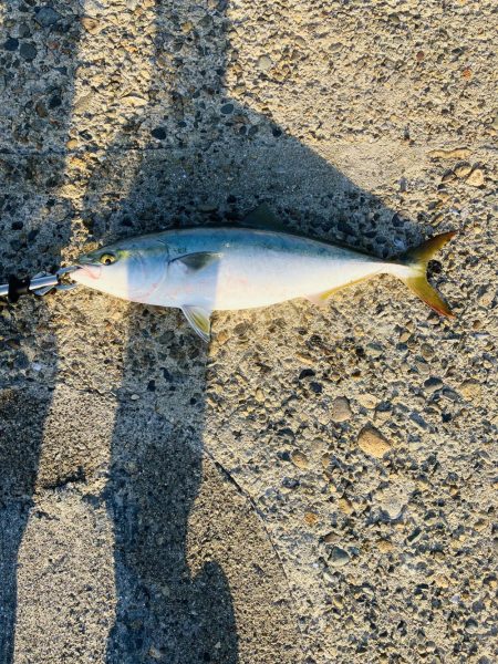 やっと釣れた^_^