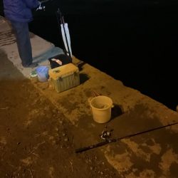 夜中のアジ釣
