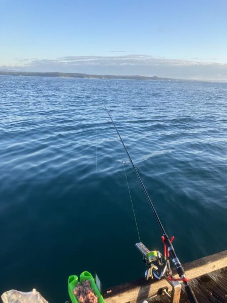 秋の筏釣り