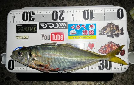 今シーズン初尺オーバーアジ🐟