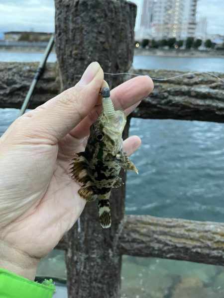 根魚とぎとぎエソ