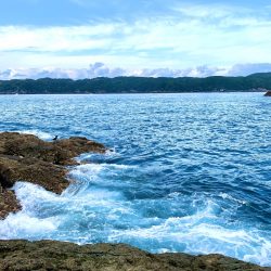 12月中最初のグレ釣り