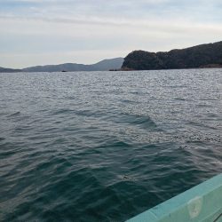 伊島近海鯛ラバ