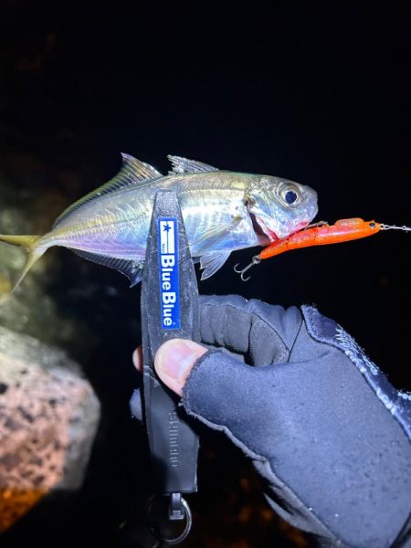 まだまだ釣れる！