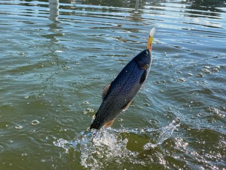 かめプーにて釣り納め