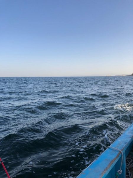 日間賀島付近で船釣り