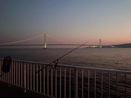 マダイ狙いのカゴ釣り🎣