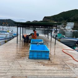 海上釣り堀　傳八屋