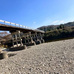 武庫川上流コイ釣行