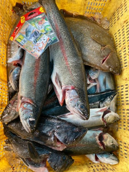 海上釣堀でサーモン☆